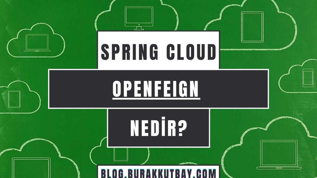 Spring Cloud Open Feign Nedir Kullanım Örneği